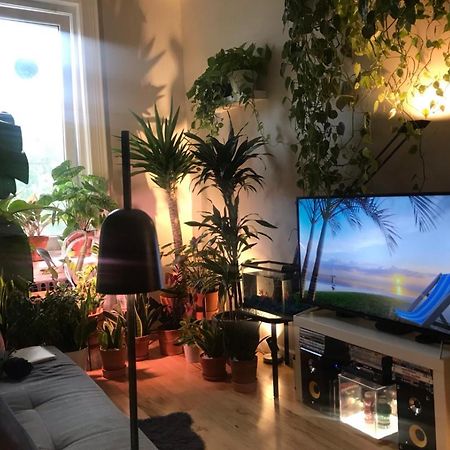 Apartmán Urban Jungle Oasis In Queens! New York Exteriér fotografie