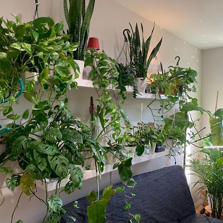 Apartmán Urban Jungle Oasis In Queens! New York Exteriér fotografie