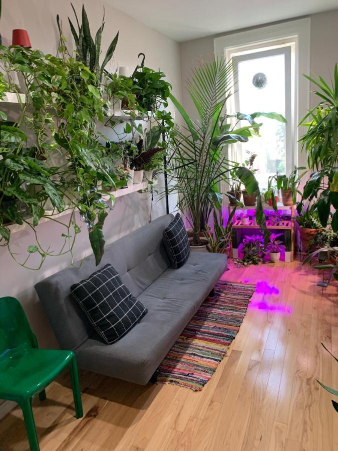 Apartmán Urban Jungle Oasis In Queens! New York Exteriér fotografie