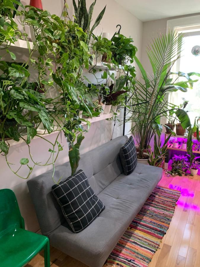 Apartmán Urban Jungle Oasis In Queens! New York Exteriér fotografie