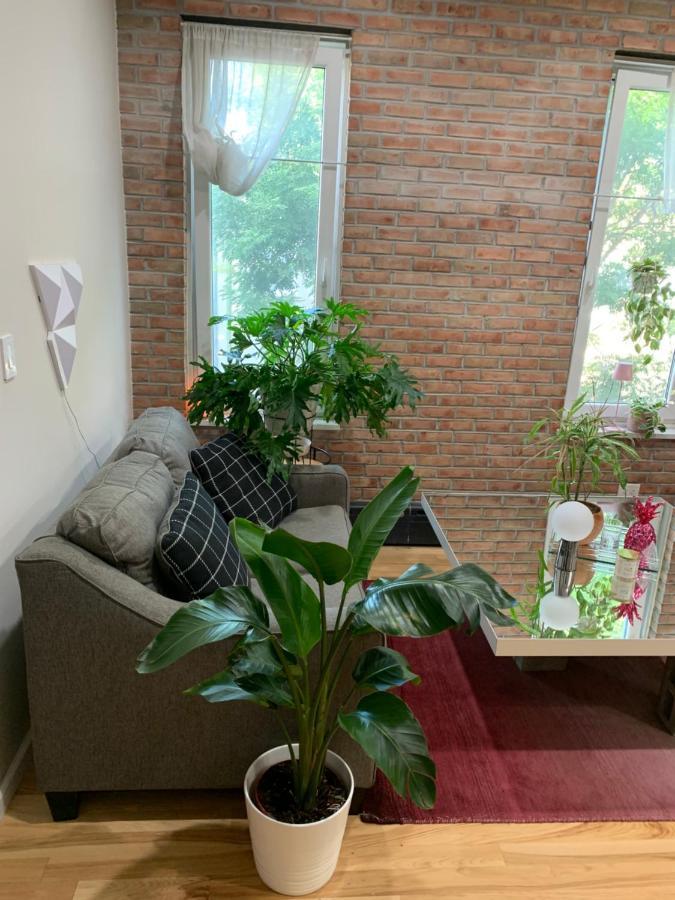 Apartmán Urban Jungle Oasis In Queens! New York Exteriér fotografie